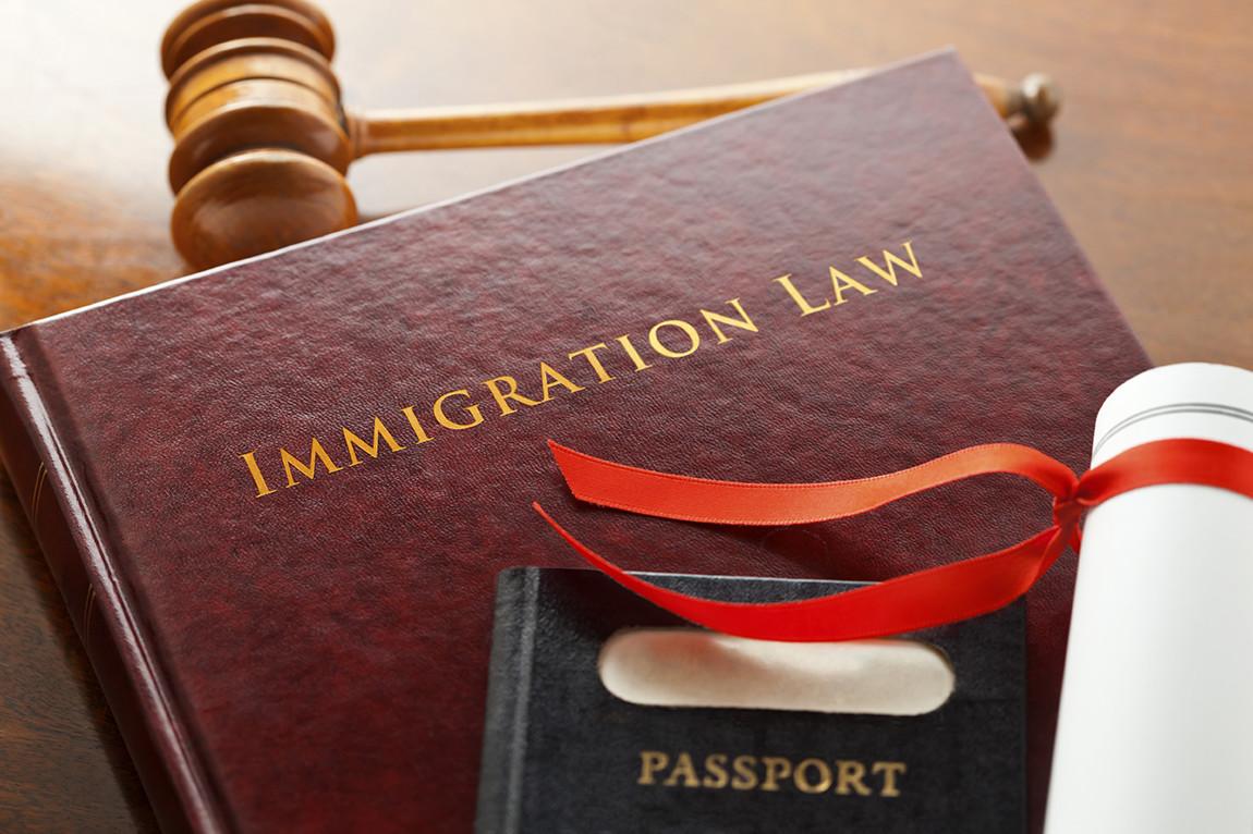 Other Immigration Services