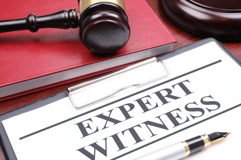 Expert Witness